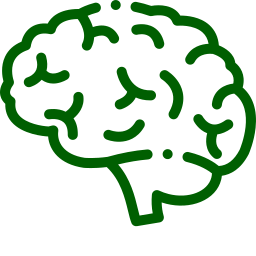 Gehirn Icon